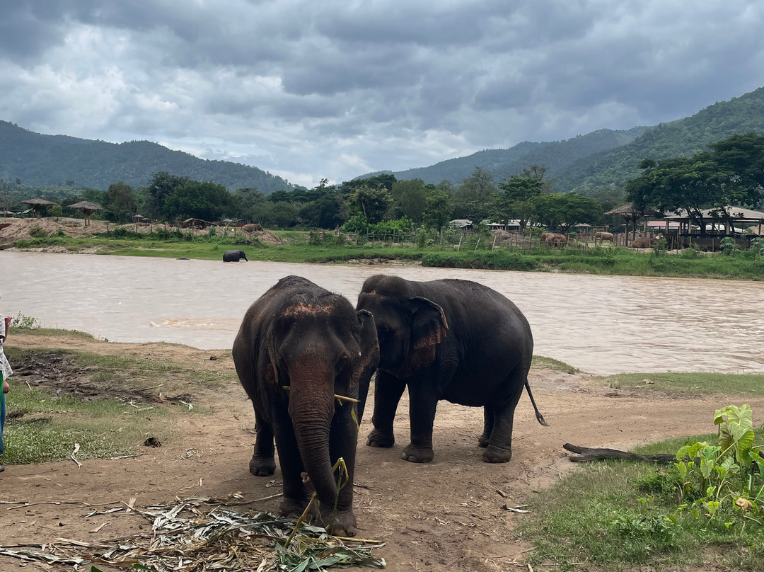 Happy Elephant Home-夜登必去景点