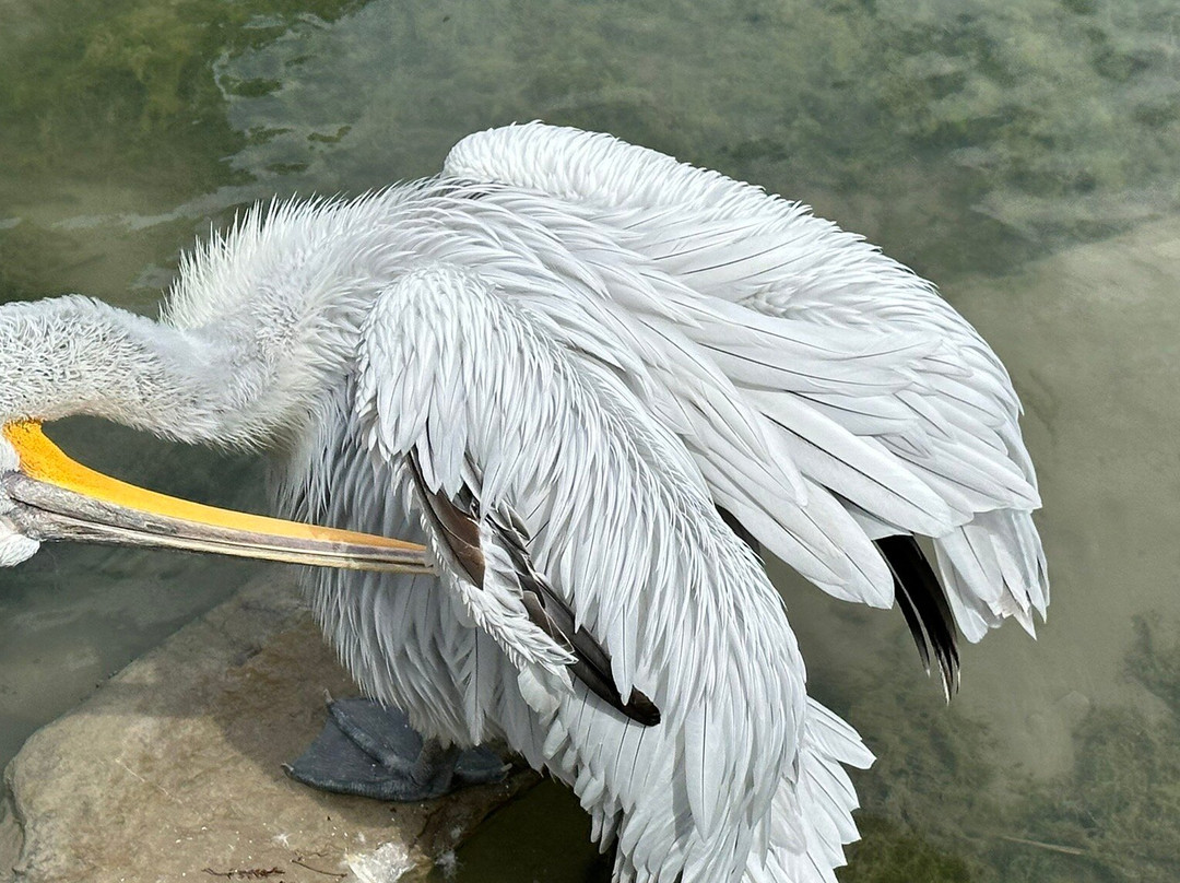 Tierpark Bern-伯尔尼必去景点