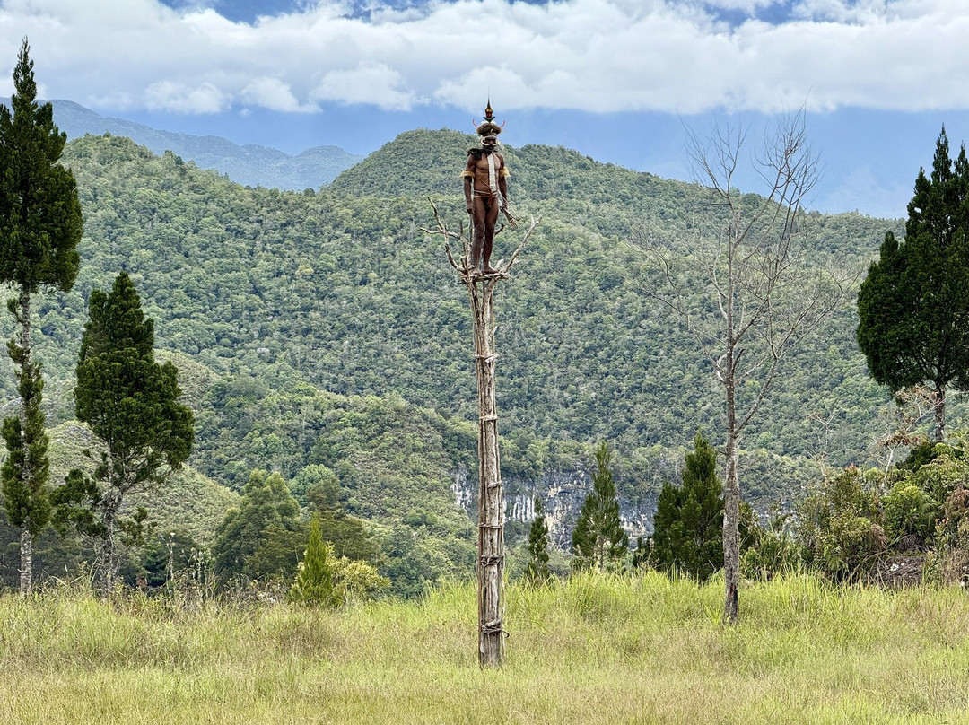 The Baliem Valley Resort主图