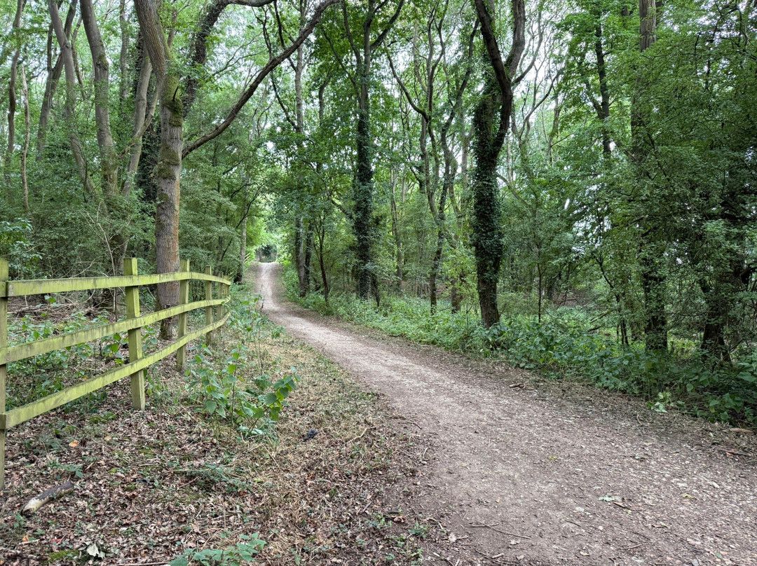 Rutland Water-奥克姆必去景点