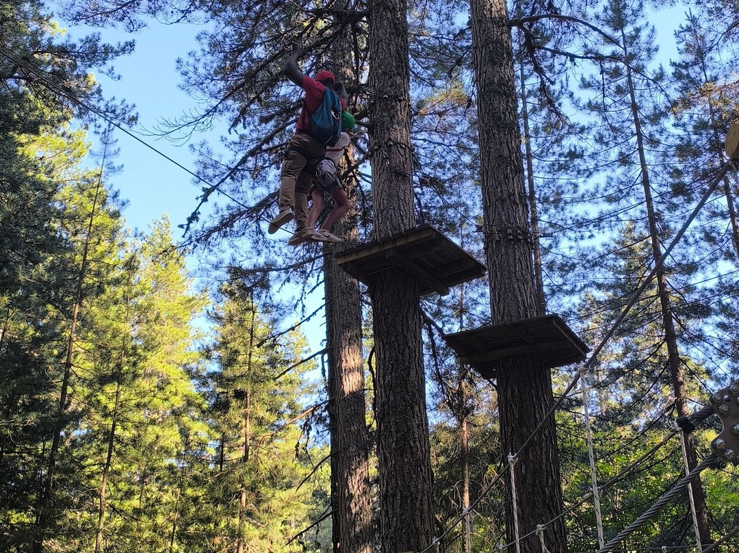 Lupo Ezechiele Avventure Parck