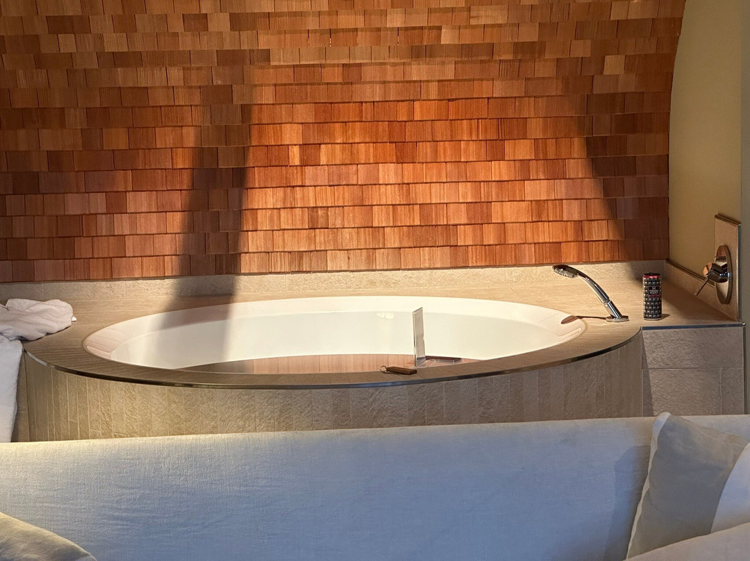 Fleesensee Resort & Spa主图