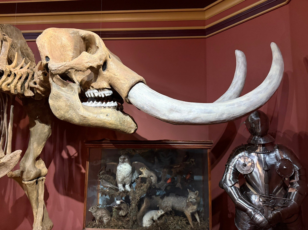 Best Western Hospitality Hotel & Suites主图