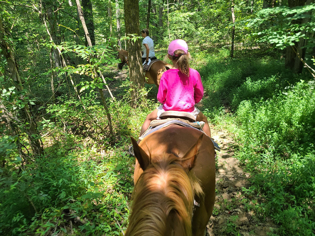 Lake Glendale Stables-Golconda必去景点