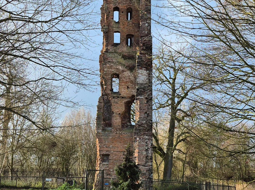 De Ruïne Van Het Kasteel Van Strijen
