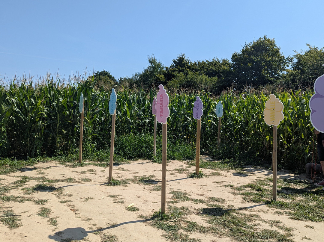 Labyrinthe de Malido-Saint-Alban必去景点