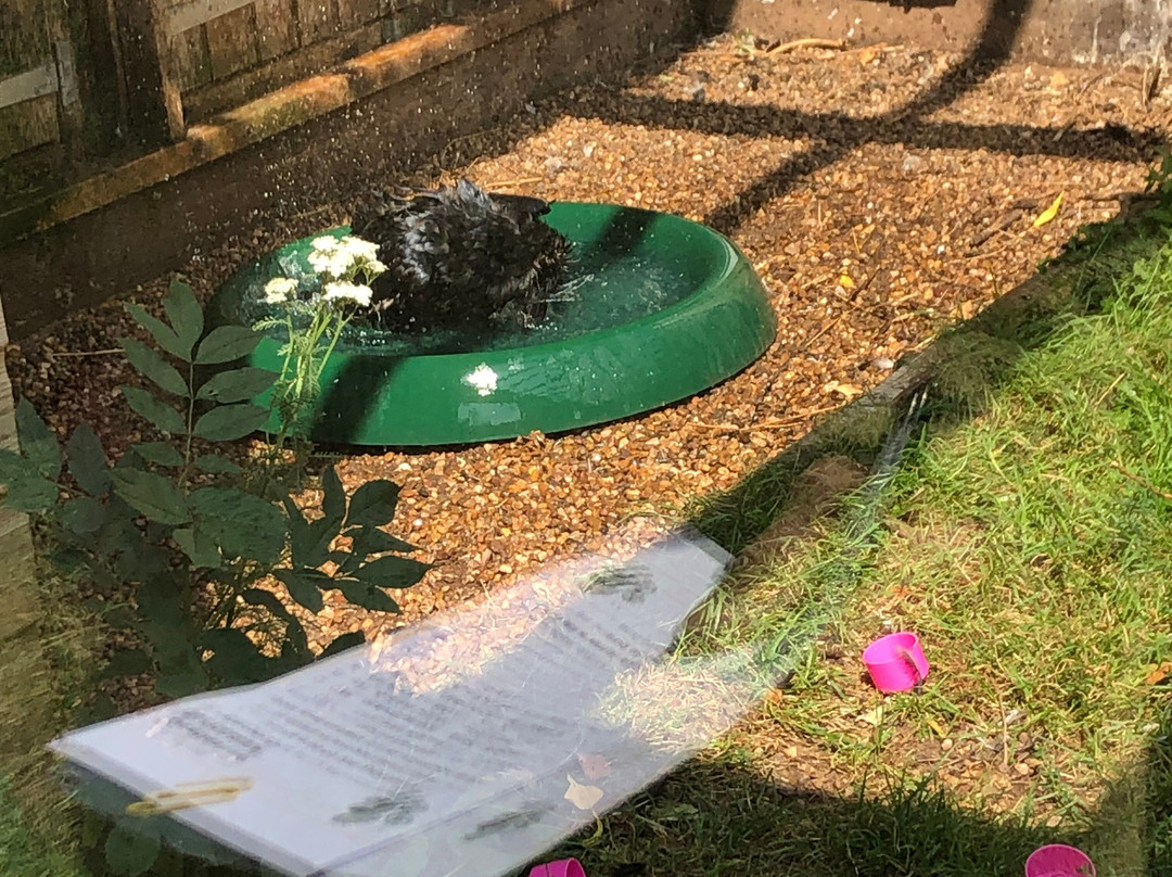 Gentleshaw Birds of Prey and Wildlife Centre-斯塔福德必去景点