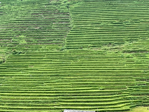 Sun Getaways Travel-河内必去景点