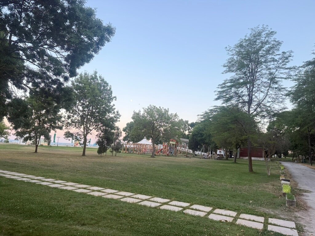 Effect Algara Beach主图