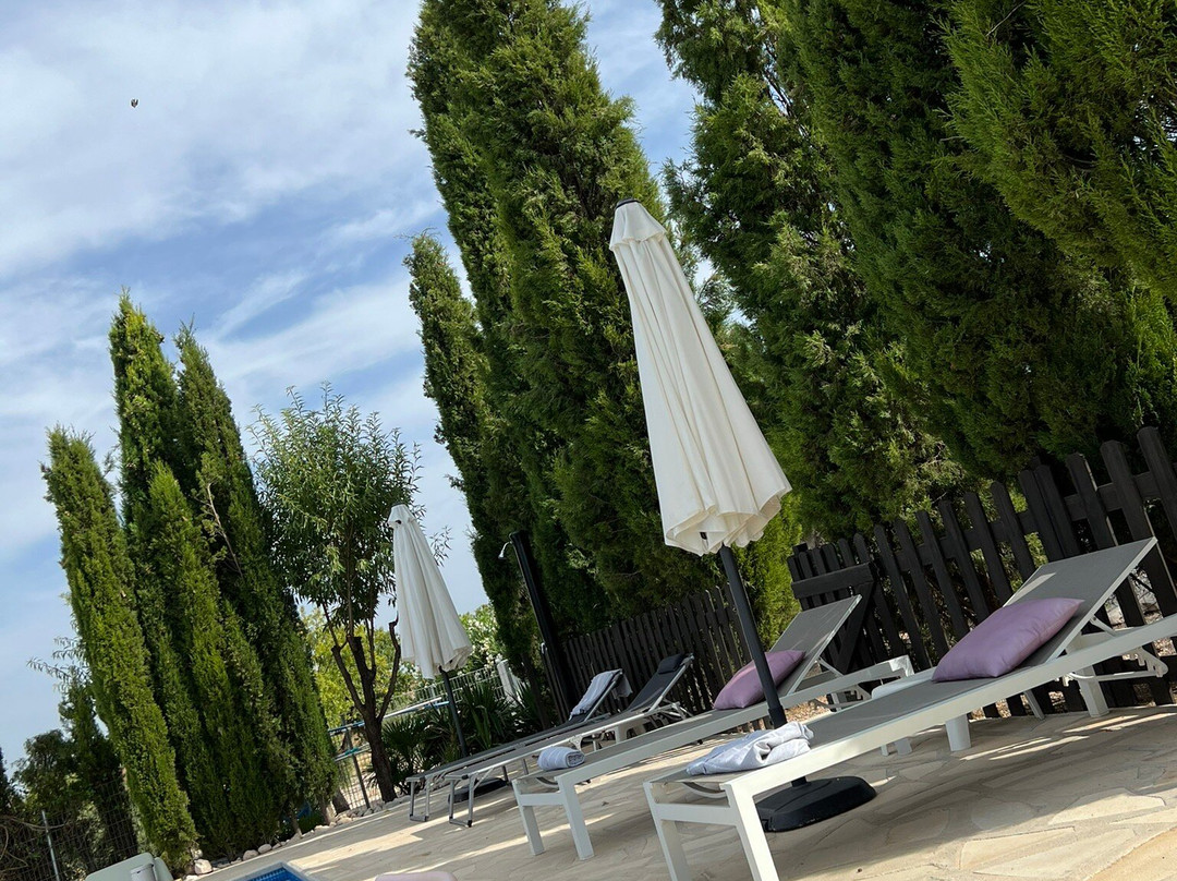 Boutique Bed & Breakfast Casa Paco主图