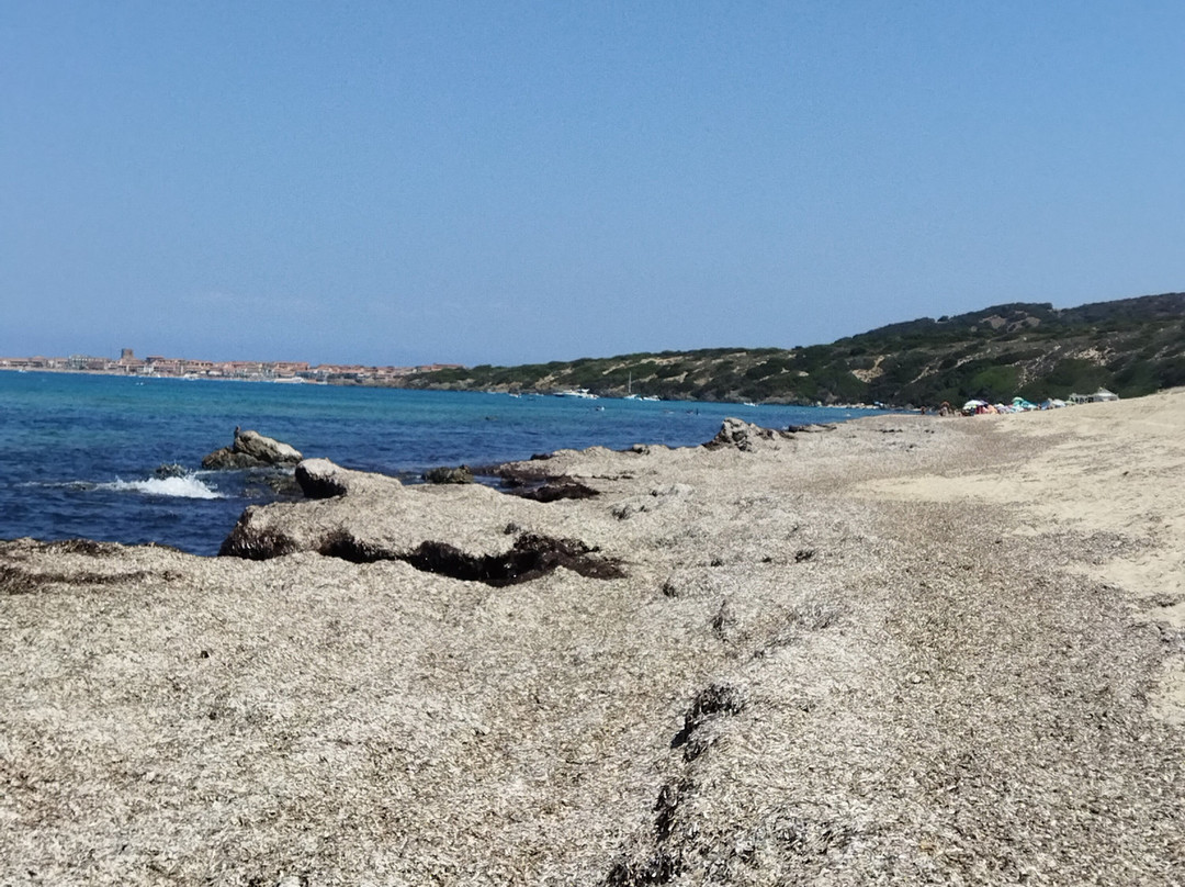 Spiaggia Li Feruli-Badesi必去景点