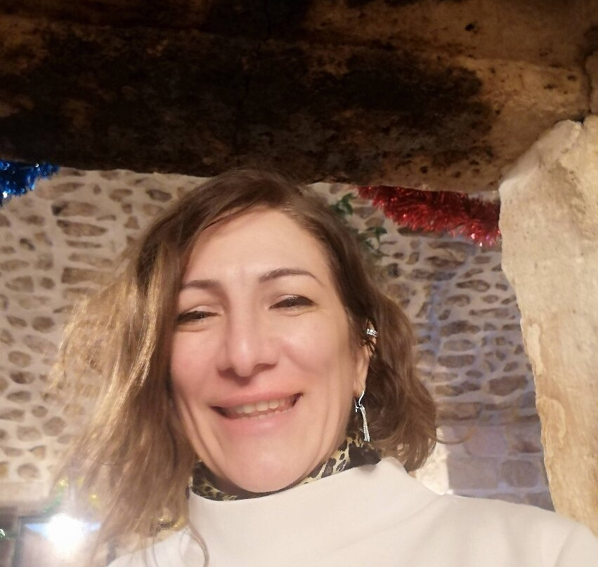 Kasr-i Nehroz Hotel主图