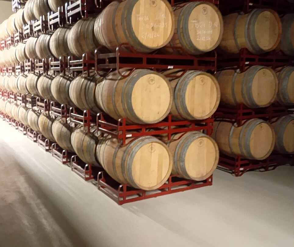 Nexus Valladolid Suites & Hotel主图