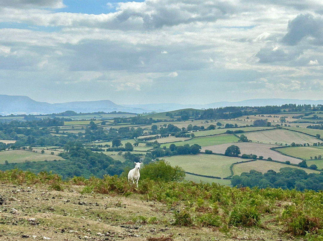 Offa's Dyke Lodge B&B主图