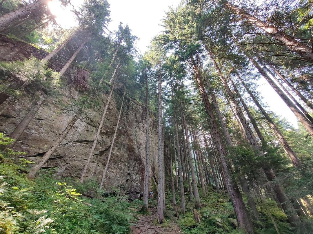 Cascate Val Genova-平佐洛必去景点