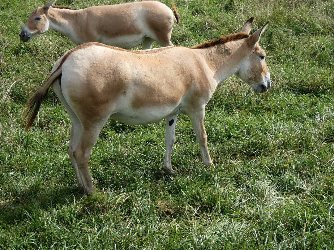 The Wilds-Cumberland必去景点