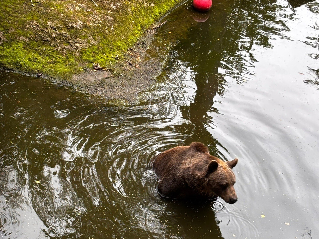 Wildwood Trust-Herne Bay必去景点