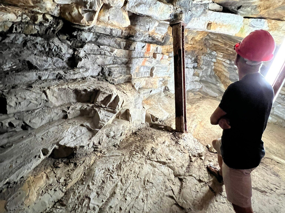 Museo dei Fossili di Bolca - Verona-Bolca必去景点
