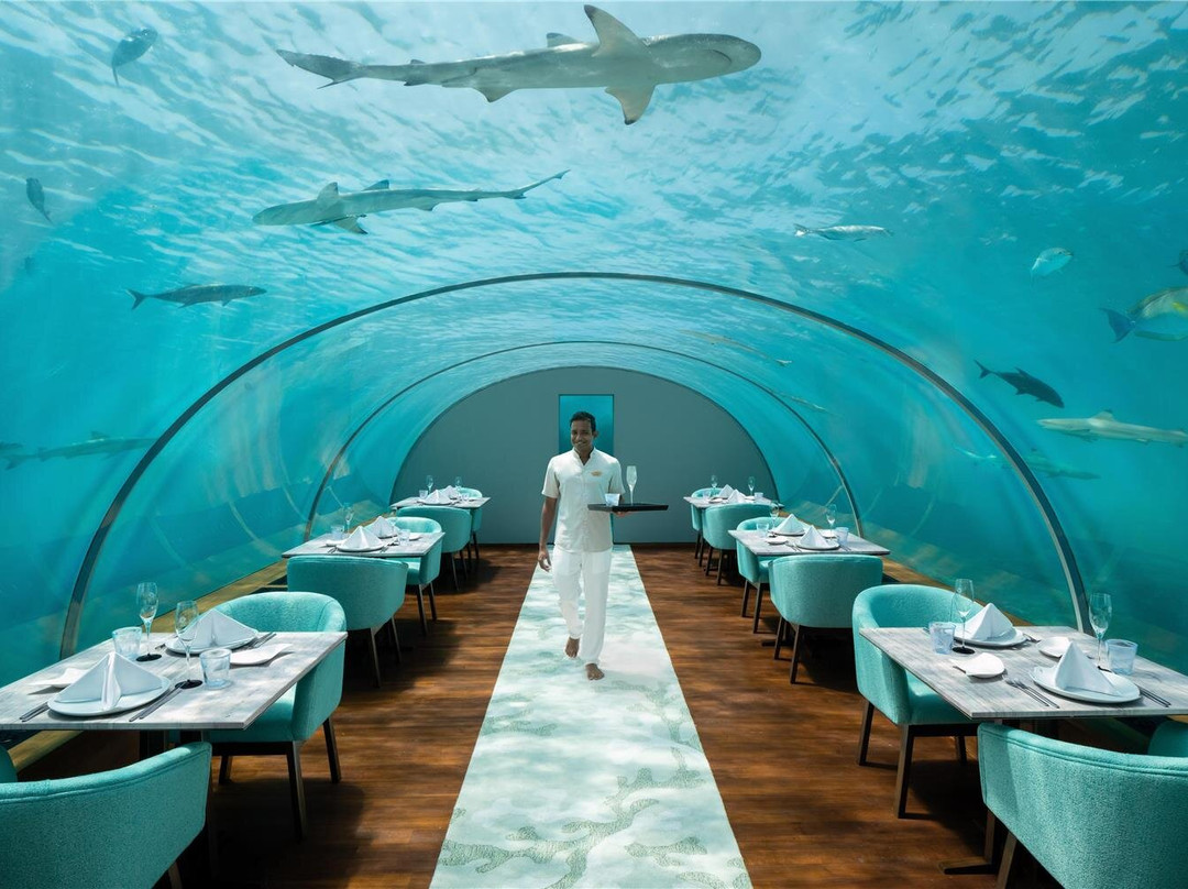 马尔代夫港丽度假酒店主图