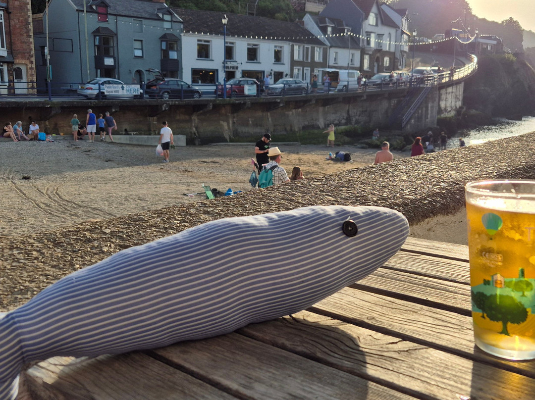 Newberry Beach Lodge B&B主图