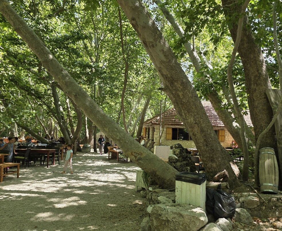 Caglayan Park Restaurant