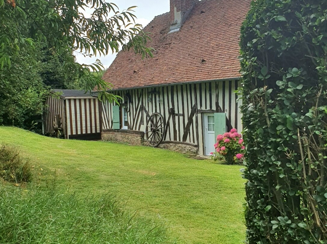 Les Petits Matins Bleus主图