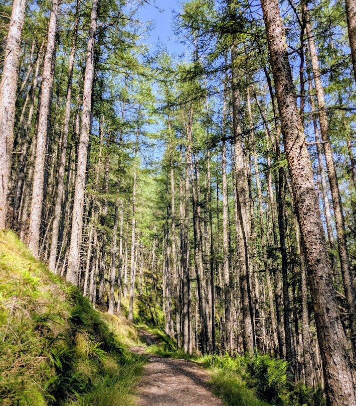 Cow Hill-威廉堡必去景点