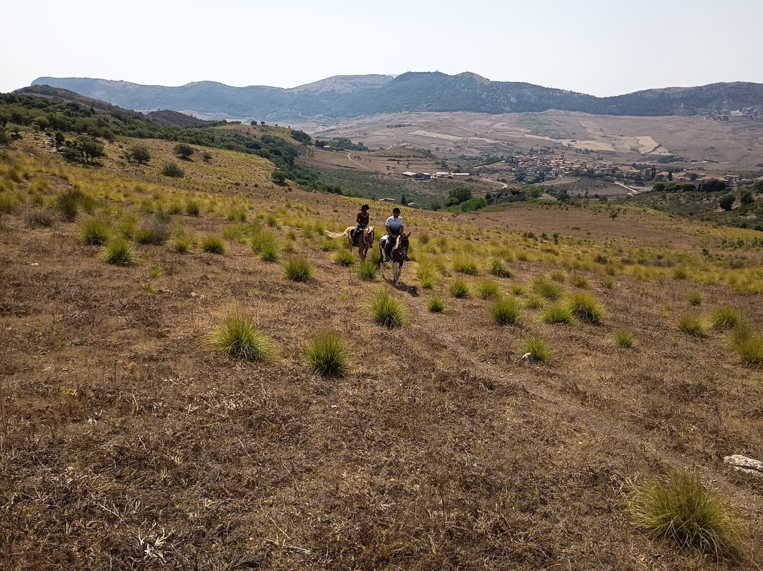 Horse Trekking Sicily-Marineo必去景点