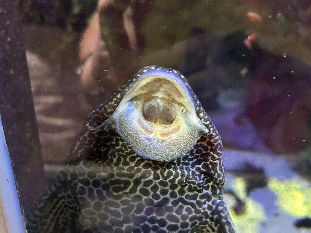 Aquarium du Limousin-利摩日必去景点