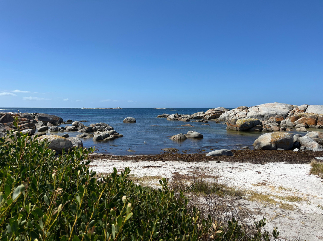 The Gardens-Binalong Bay必去景点