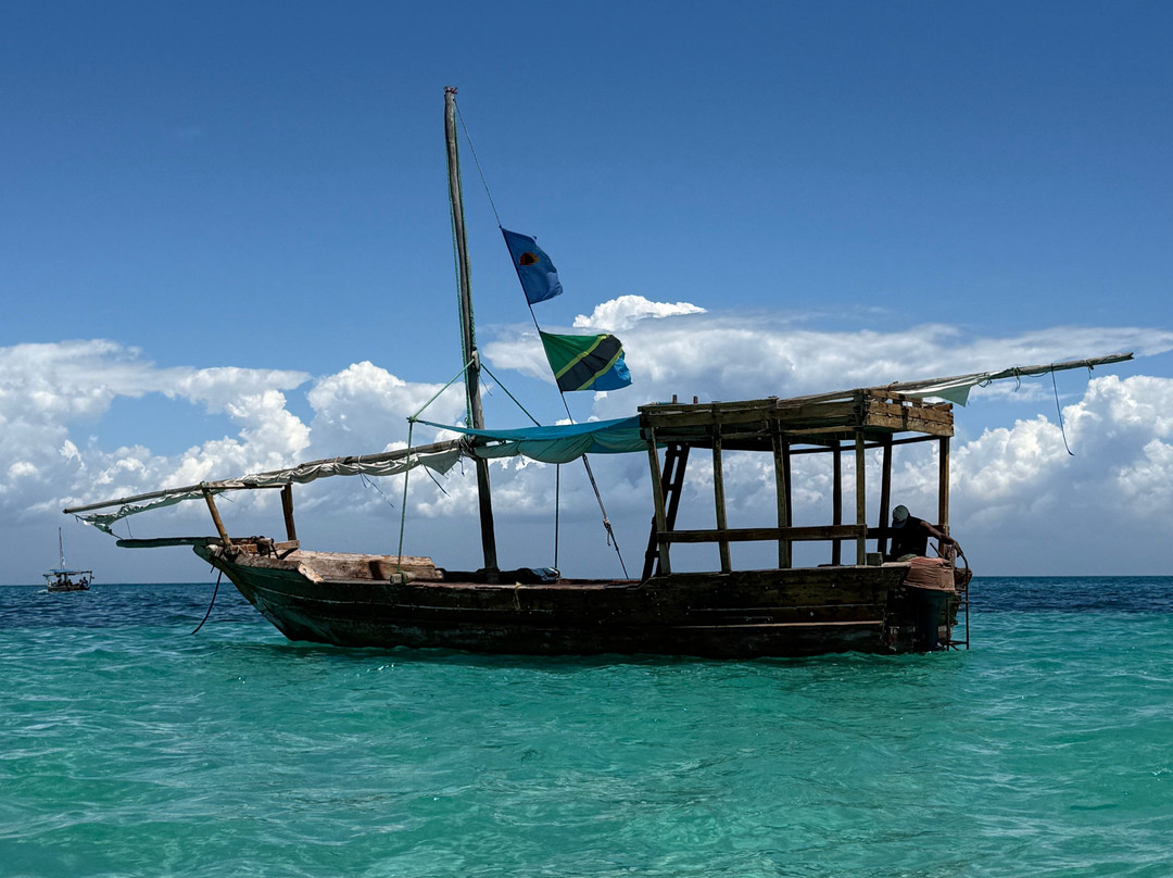 Suley Taxi Driver Zanzibar and Tours-孥归必去景点