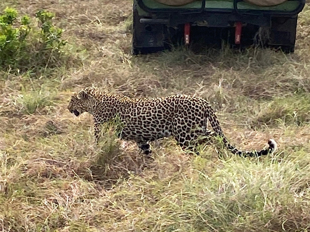 Travel Tamaro Adventures-迪亚尼必去景点