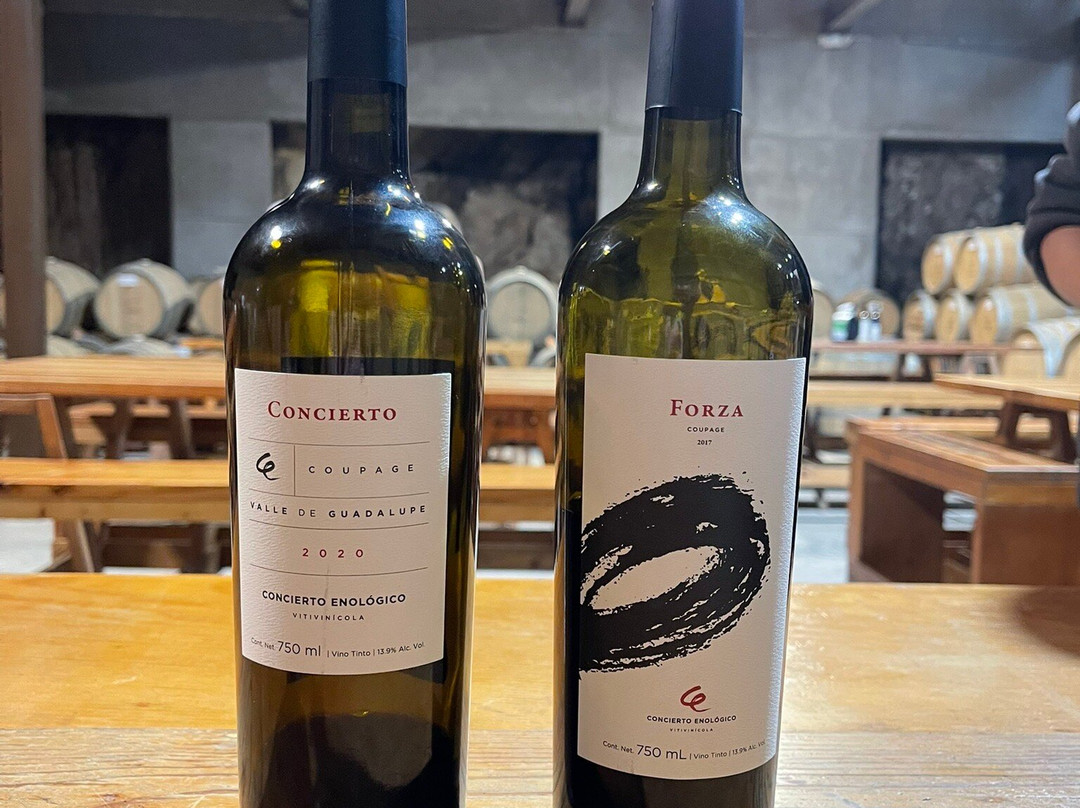 Concierto Enológico-Ejido El Porvenir必去景点