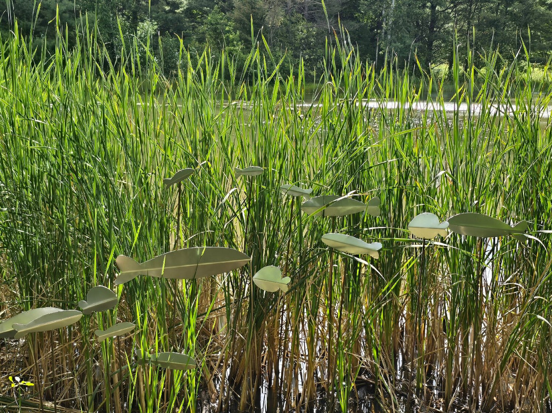 Stevens Point Sculpture Park-Stevens Point必去景点