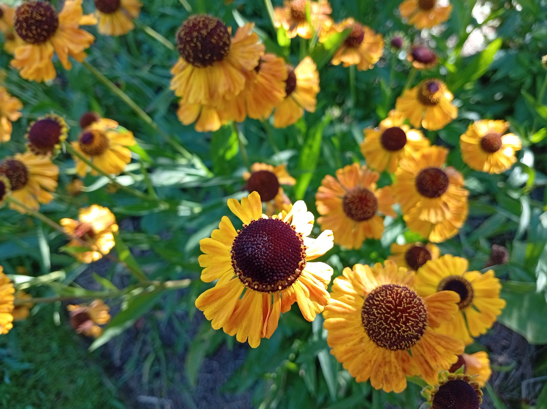 Jardin Des Barthes-Saubrigues必去景点