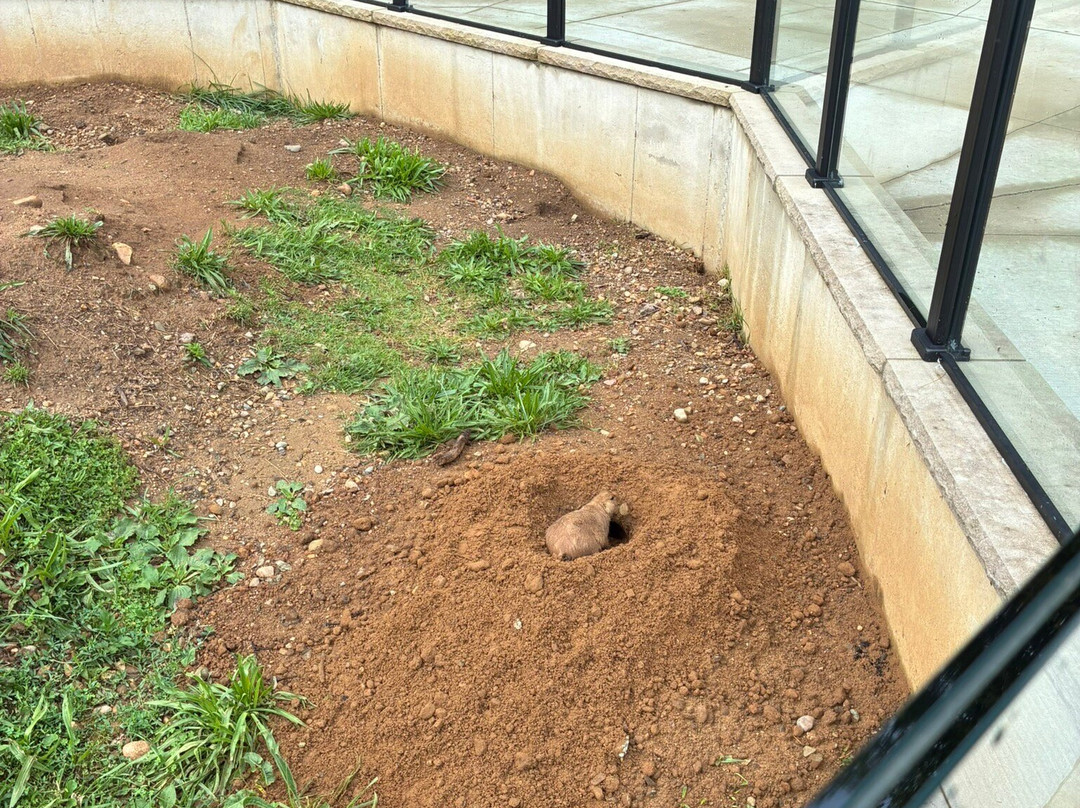 Binder Park Zoo-Battle Creek必去景点