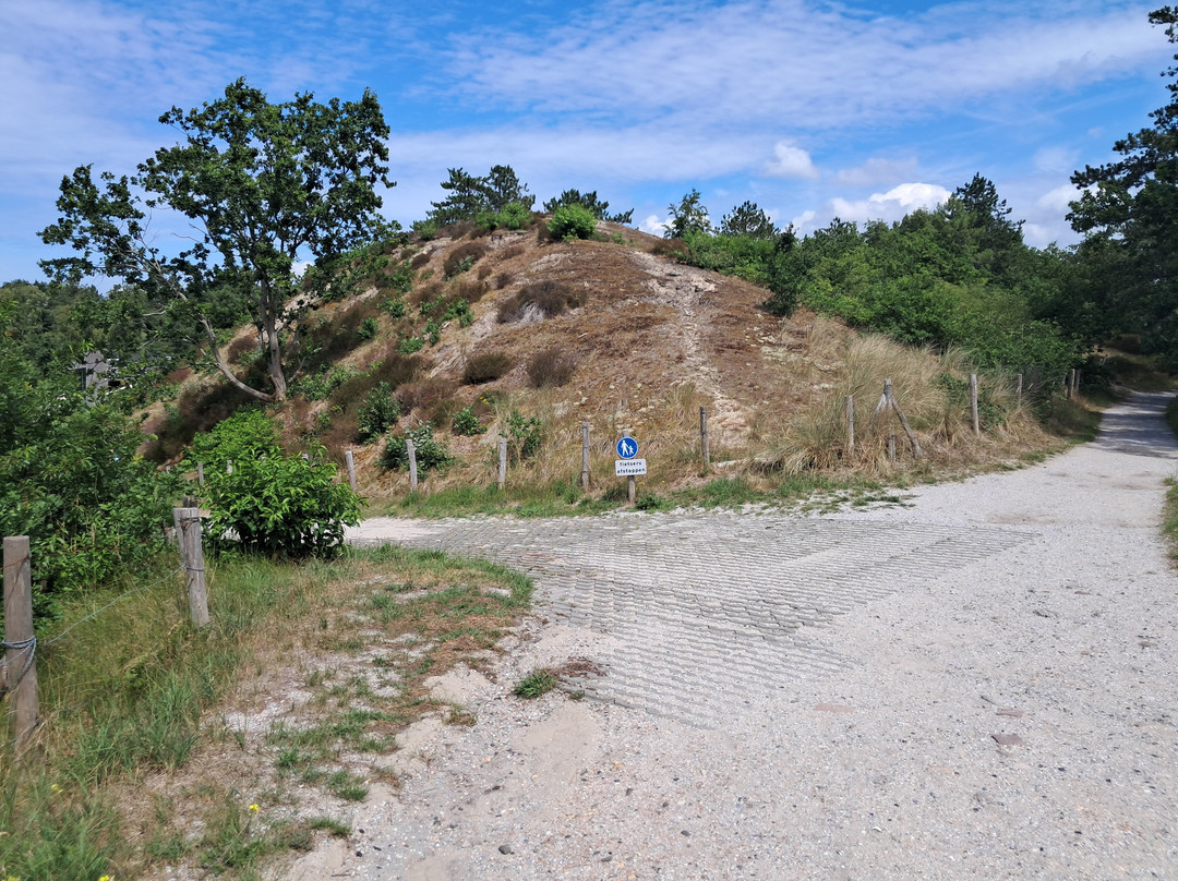 Schoorlse Duinen-Schoorl必去景点