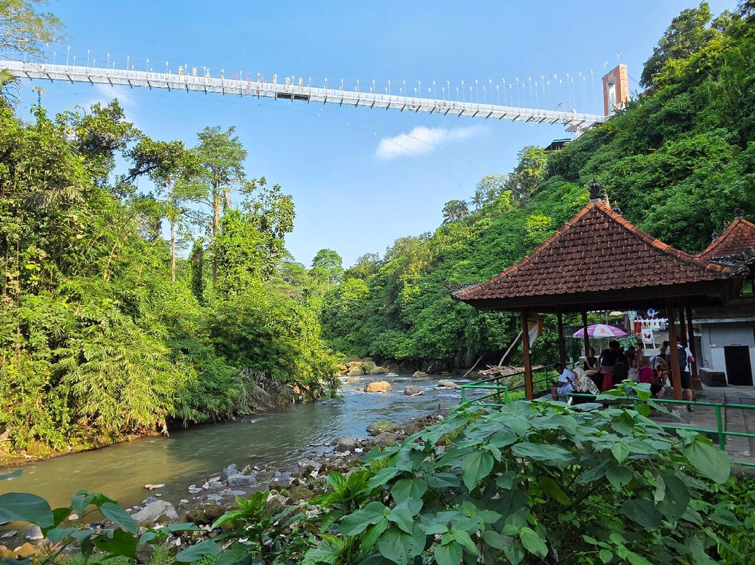 Awesome Bali Driver-水明漾必去景点