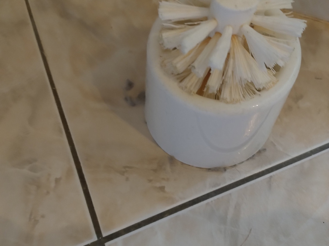 Hotel Restaurant la Rose des Vents主图