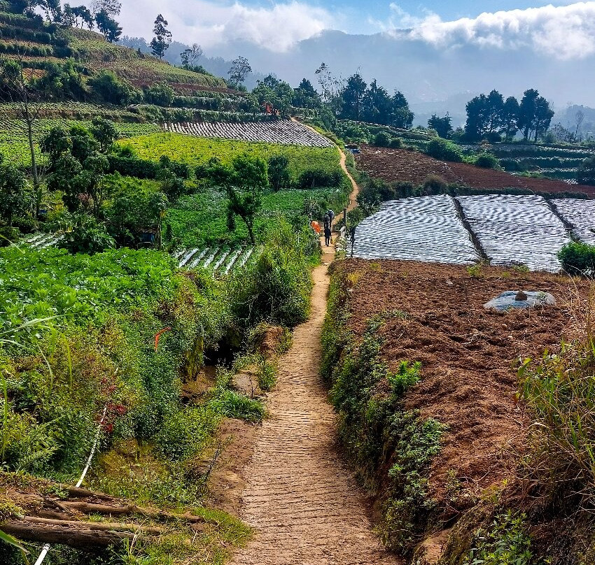 Bismo Mountain-Wonosobo必去景点