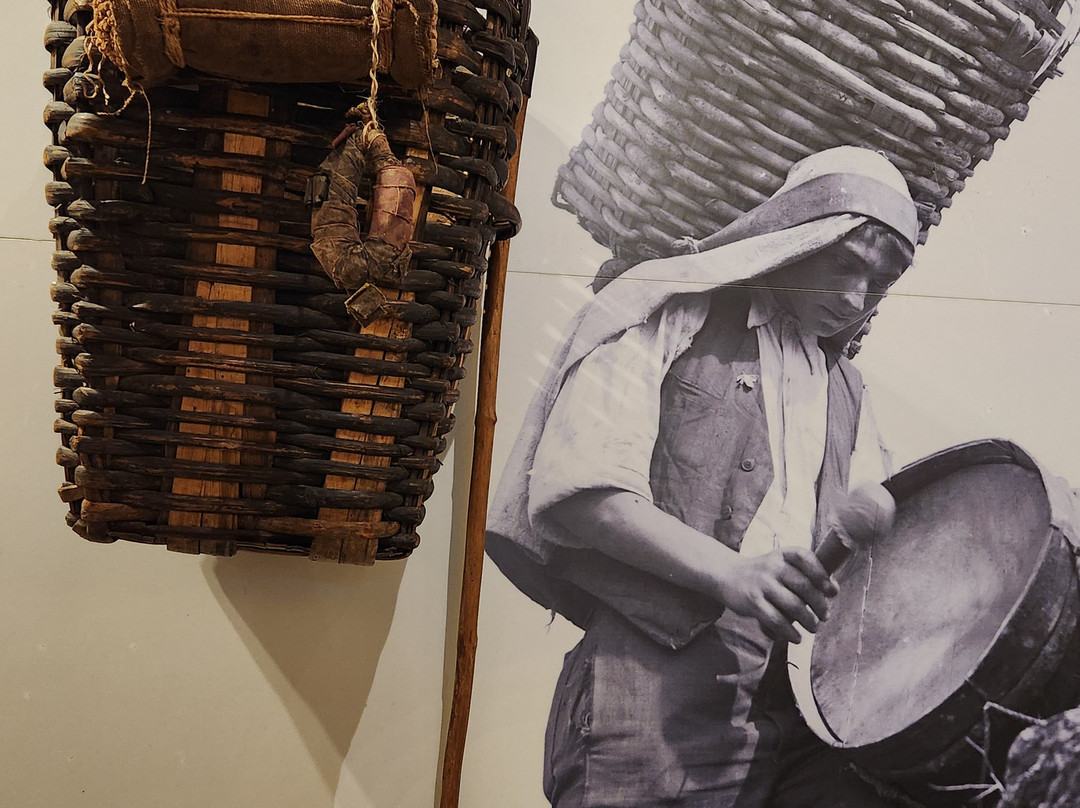 Museu do Douro-佩苏达雷瓜必去景点