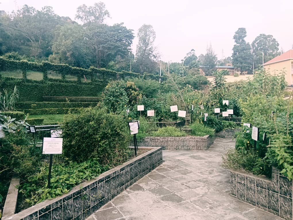 Museum of Environment-Kibuye必去景点