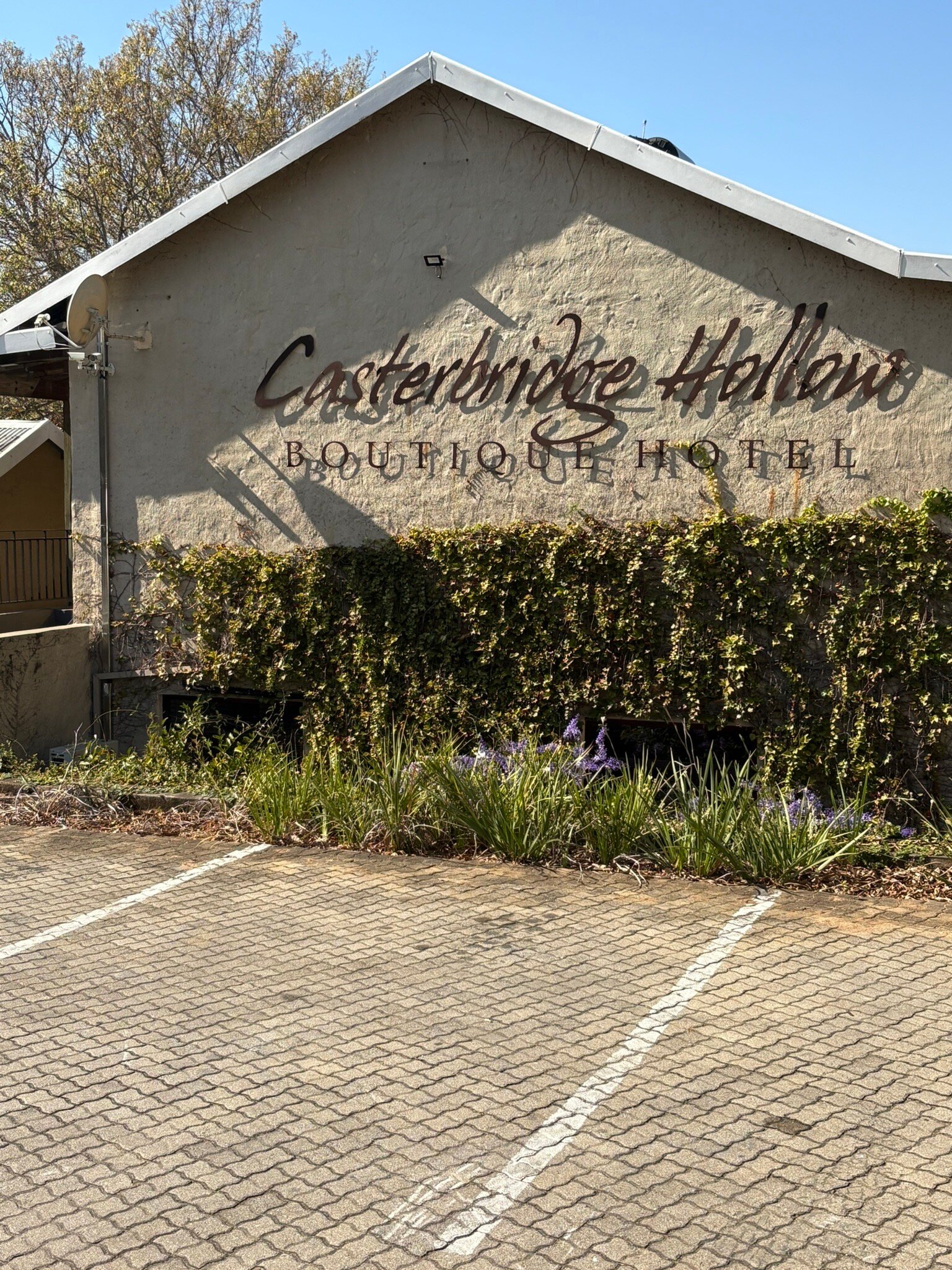 Casterbridge Hollow-官方