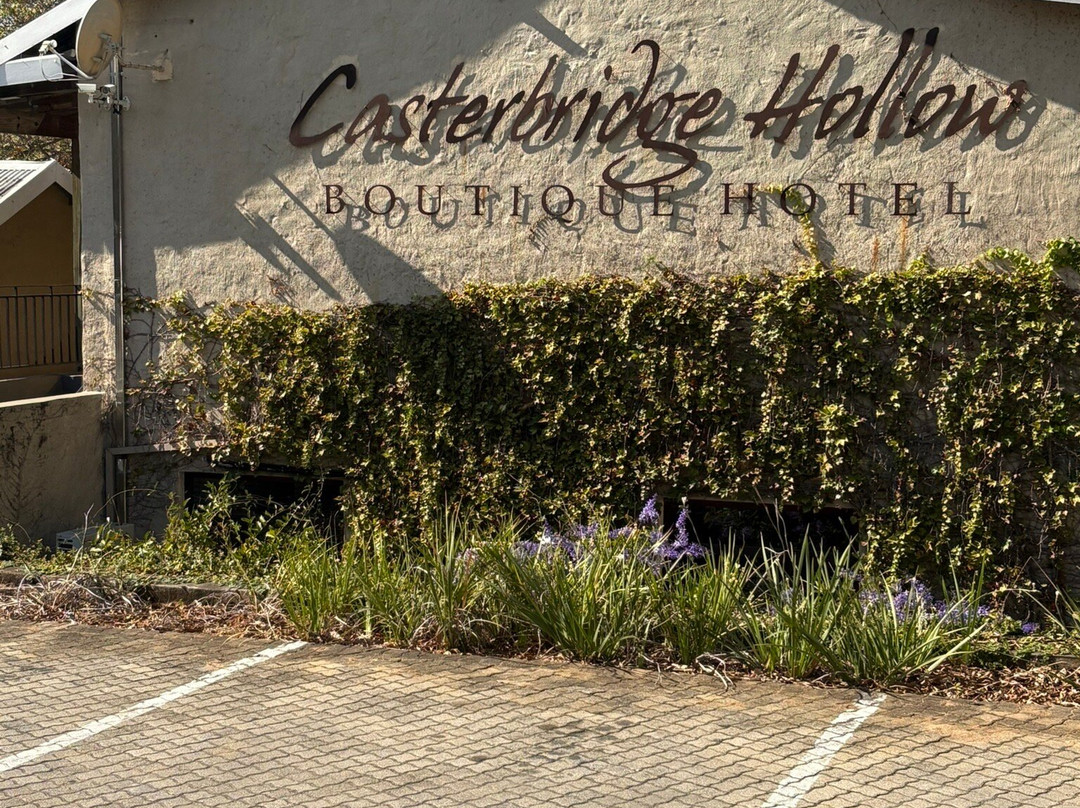 Casterbridge Hollow主图