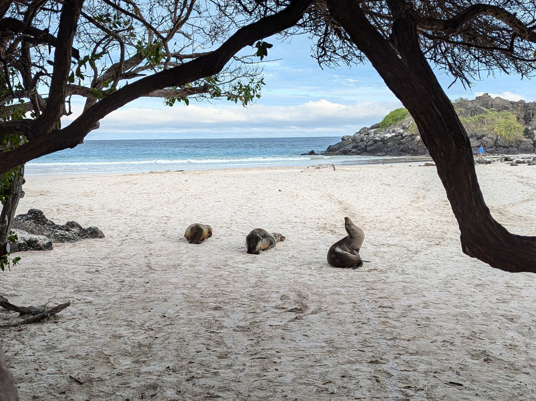Puerto Chino Beach-圣克里斯托瓦尔必去景点