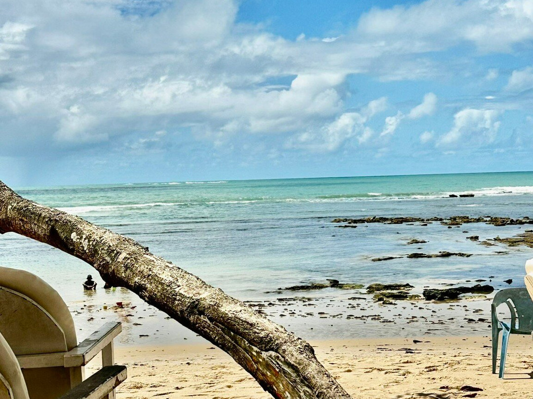 Pitinga Beach-Arraial d'Ajuda必去景点