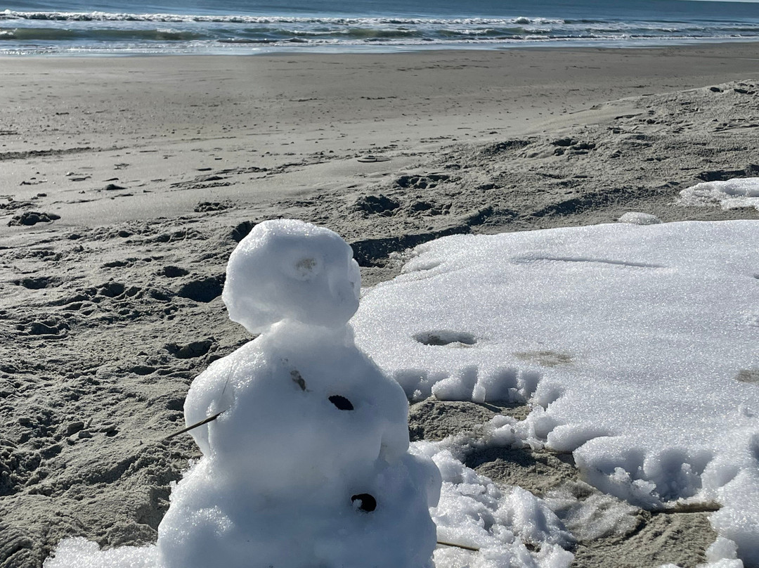 Myrtle Beach State Park-美特尔海滩必去景点