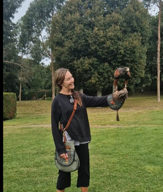 Jersey Falconry-St. John必去景点