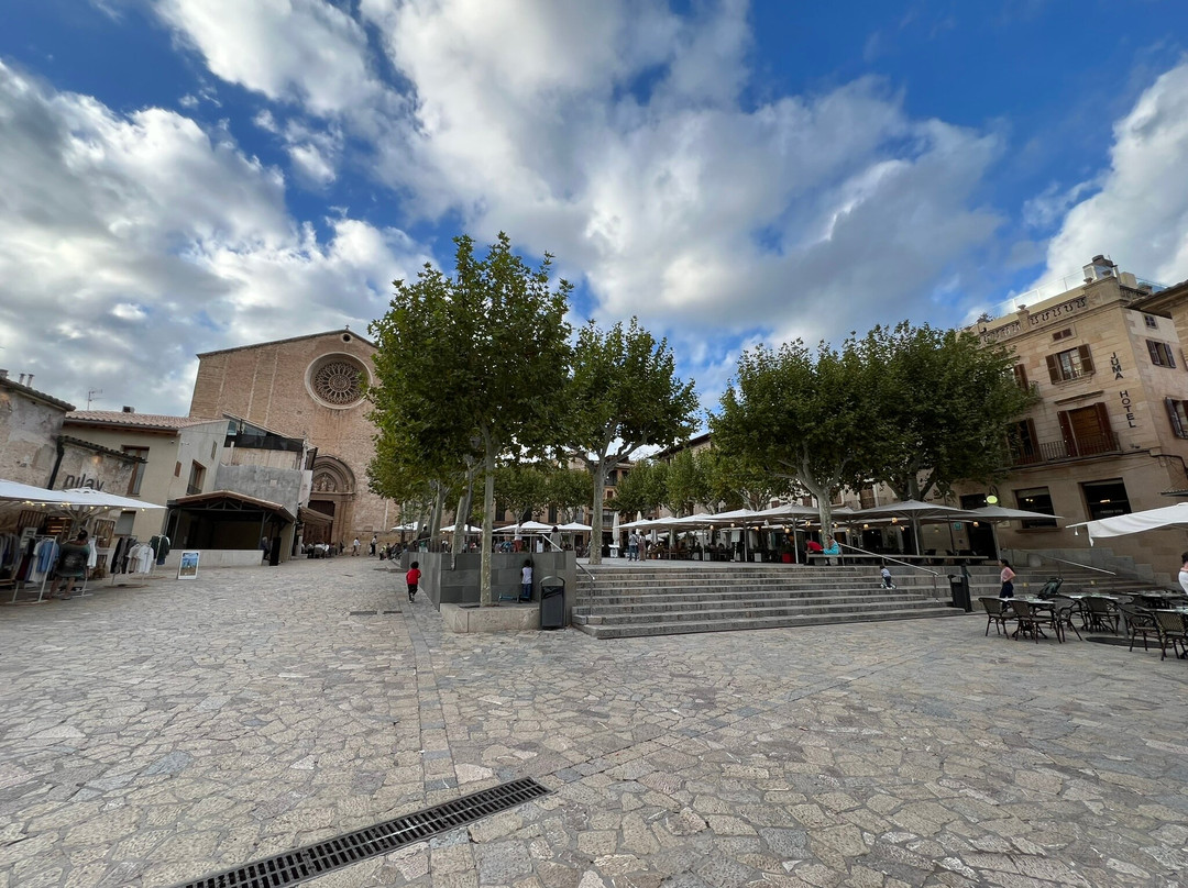 Placa Major-Pollenca必去景点