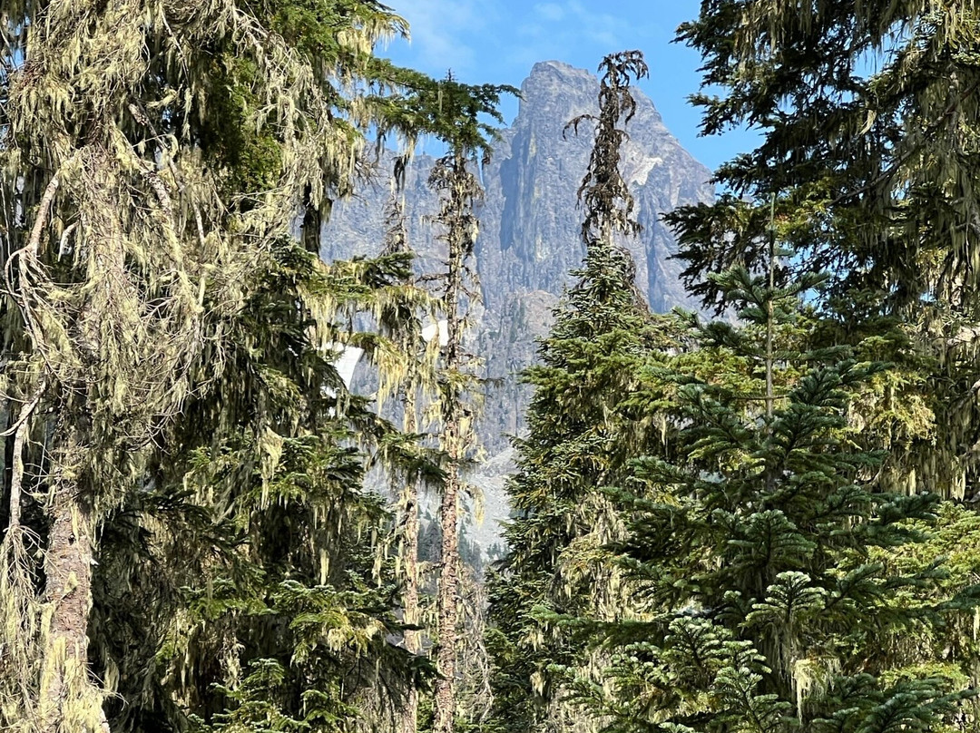 Three Peaks Outfitters - Day Tours-Cle Elum必去景点